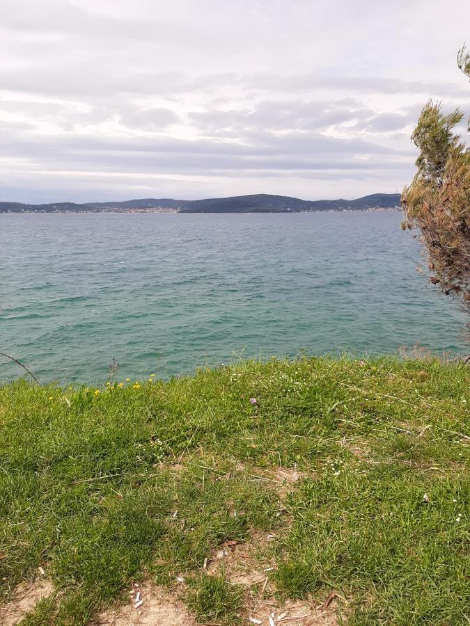 Noah * Zadar